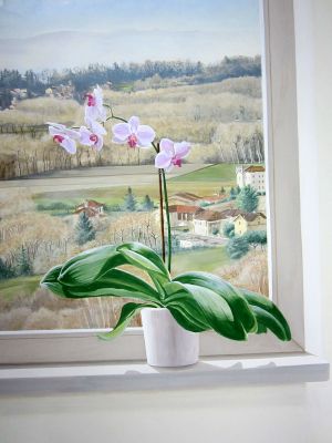 trompe l'oeil